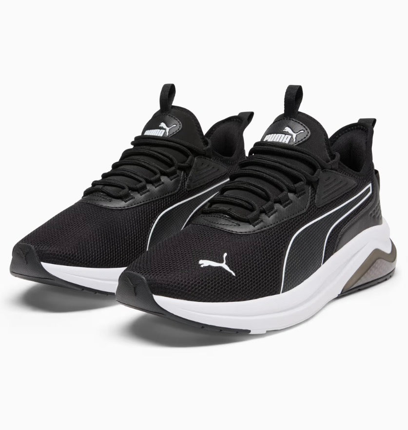 Puma Amplifier