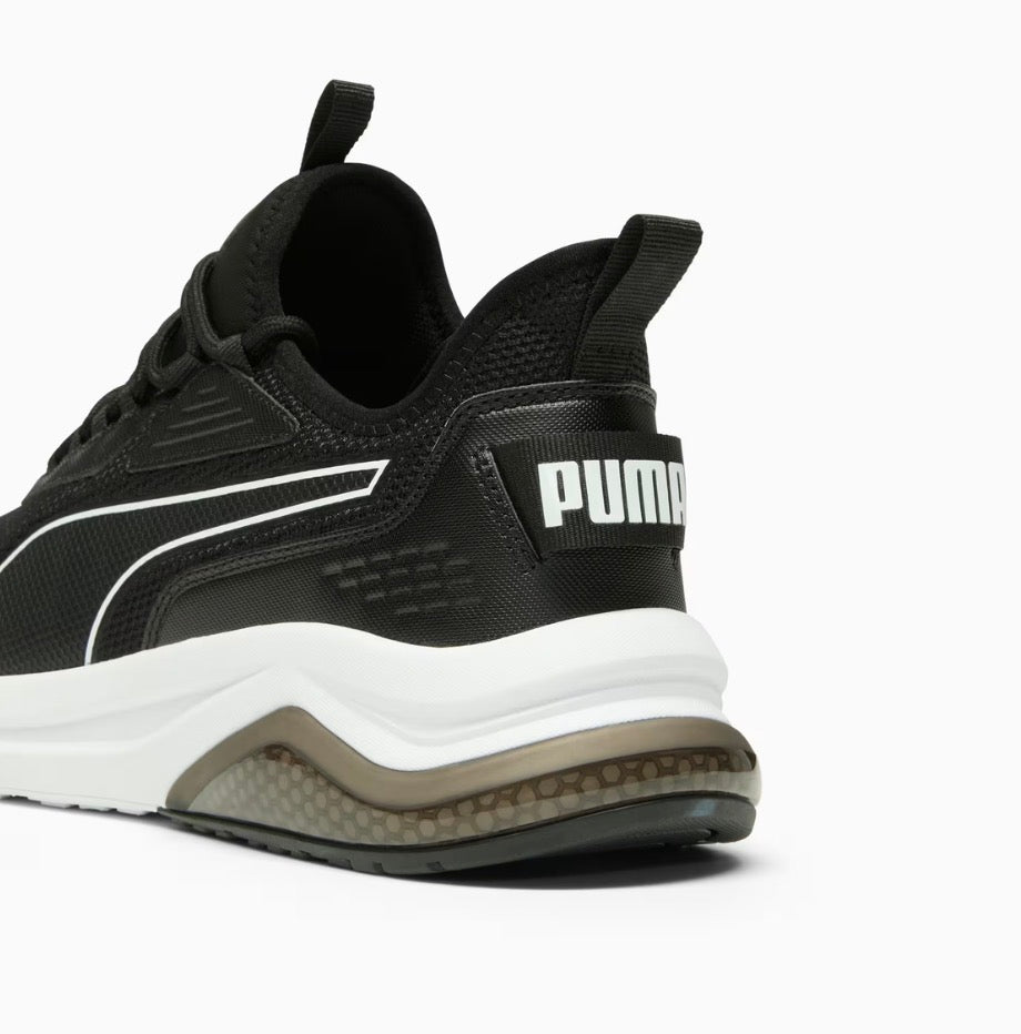Puma Amplifier